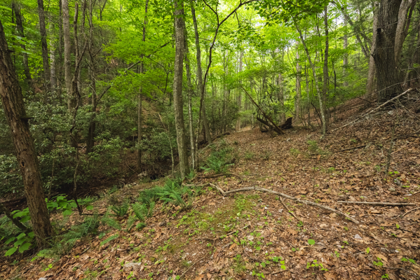 Land for Sale in Indian Valley VA