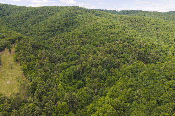 Land for Sale in Indian Valley VA