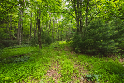 Listing 71