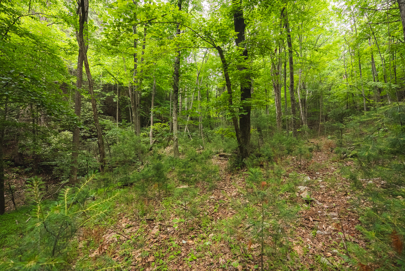 Listing 71
