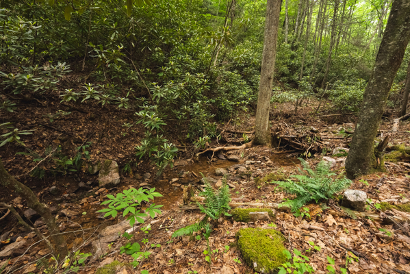 Land for Sale in Indian Valley VA