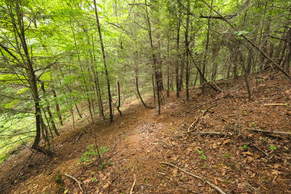 Land for Sale in Indian Valley VA