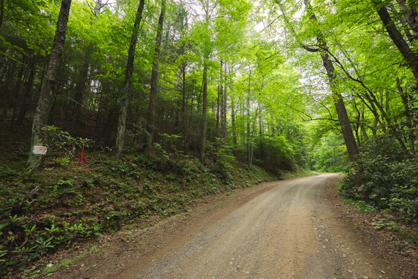 Land for Sale in Indian Valley VA