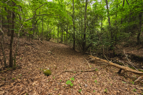 Land for Sale in Indian Valley VA
