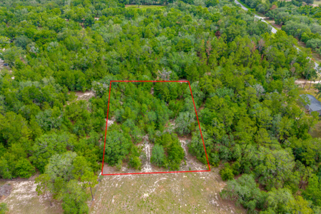 1.25 Acres in Levy County – Ready for Your Vision - image 5