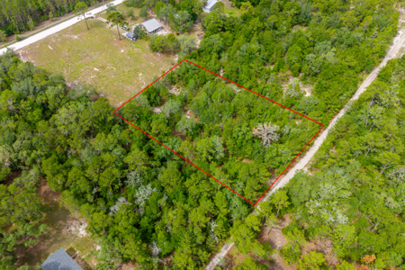 1.25 Acres in Levy County – Ready for Your Vision - image 3
