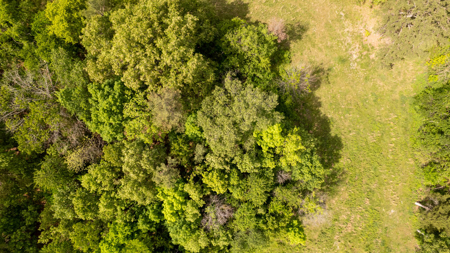 Missouri Ozarks Home on 3 Acres | Alton, MO - image 43