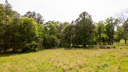 Missouri Ozarks Home on 3 Acres | Alton, MO - image 48