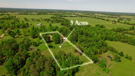 Missouri Ozarks Home on 3 Acres | Alton, MO - image 2