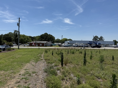 2.9 Acre Commercial Lot on US Hwy 264 Washington NC - image 9