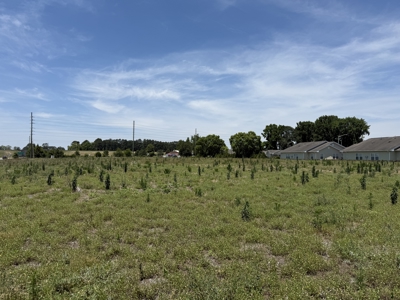 2.9 Acre Commercial Lot on US Hwy 264 Washington NC - image 6