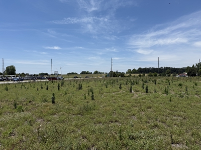 2.9 Acre Commercial Lot on US Hwy 264 Washington NC - image 7