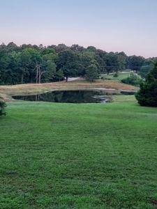 Country Home With Acreage Near Salem Arkansas - image 15