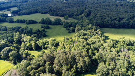 Home for Sale EL Dorado Springs, Cedar County, MO - image 13