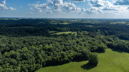Home for Sale EL Dorado Springs, Cedar County, MO - image 10