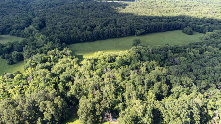 Home for Sale EL Dorado Springs, Cedar County, MO - image 14
