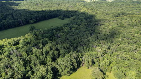 Home for Sale EL Dorado Springs, Cedar County, MO - image 15