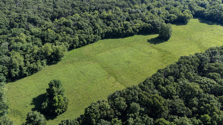 Home for Sale EL Dorado Springs, Cedar County, MO - image 11