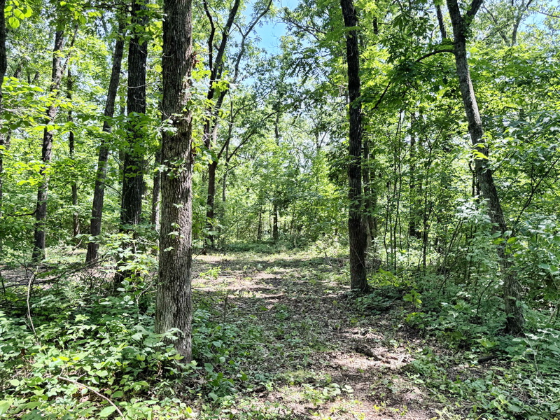 No Caption