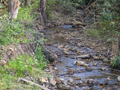 BIG ACREAGE, TRAILS, WILDLIFE! This property has it all. - image 33