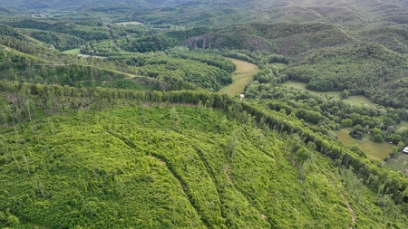 BIG ACREAGE, TRAILS, WILDLIFE! This property has it all. - image 34