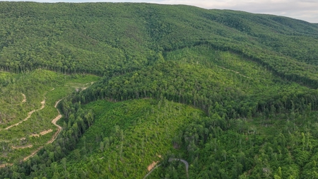 BIG ACREAGE, TRAILS, WILDLIFE! This property has it all. - image 7