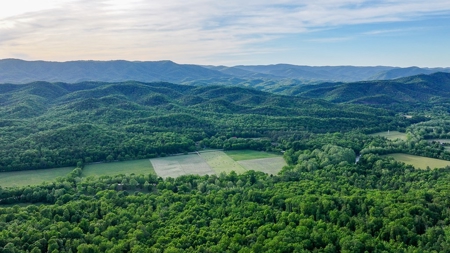 BIG ACREAGE, TRAILS, WILDLIFE! This property has it all. - image 29