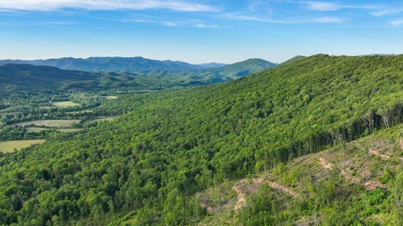 BIG ACREAGE, TRAILS, WILDLIFE! This property has it all. - image 30
