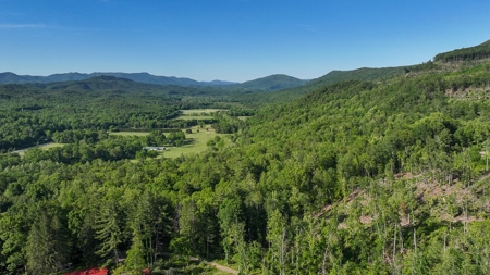 BIG ACREAGE, TRAILS, WILDLIFE! This property has it all. - image 17