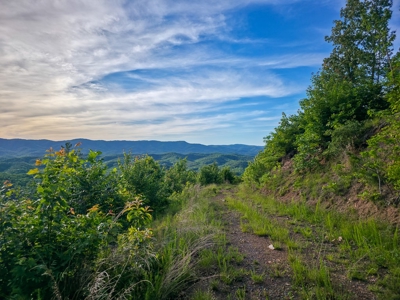 BIG ACREAGE, TRAILS, WILDLIFE! This property has it all. - image 41