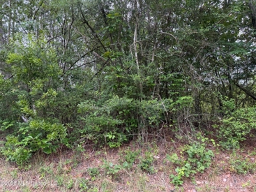 Listing 247