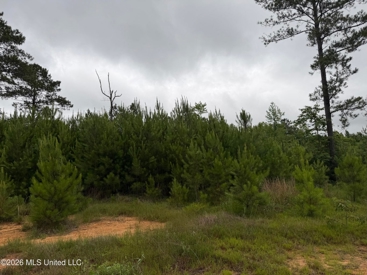 Listing 247