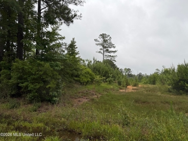 Listing 247