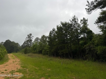 Listing 247