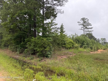 Listing 247