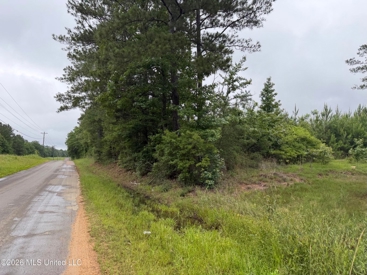 Listing 247