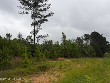 Listing 247