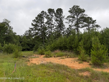 Listing 247