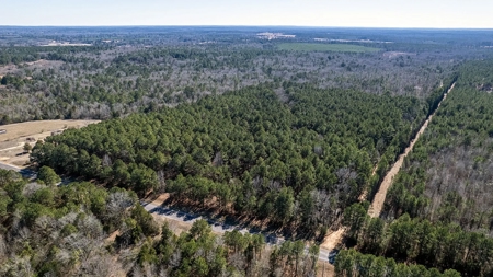East Texas Hunting Land/Timberland in Naples Texas - image 7