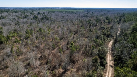 East Texas Hunting Land/Timberland in Naples Texas - image 2