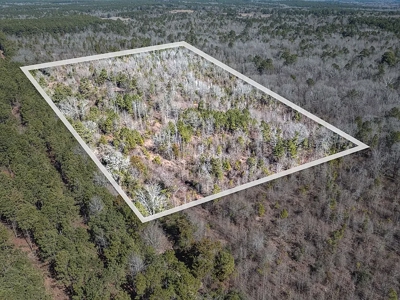 East Texas Hunting Land/Timberland in Naples Texas - image 9