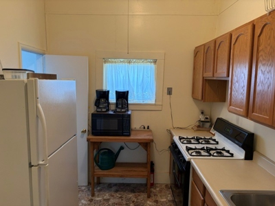 Historic Ridgway Live Work Property with Lot Split Potential - image 12