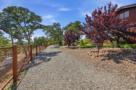Winters, California Country Properties with 2 Homes for Sale - image 30