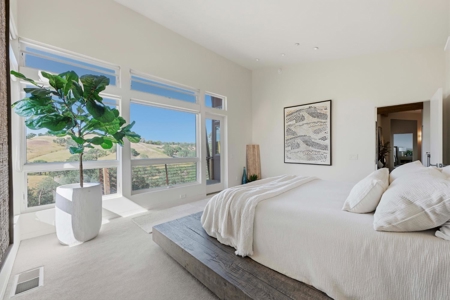 Winters, California Country Properties with 2 Homes for Sale - image 19