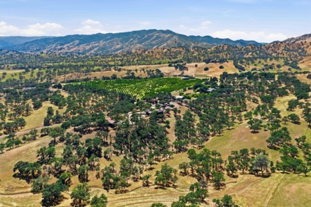 Winters, California Country Properties with 2 Homes for Sale - image 46