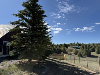 spacious home on 10.15 acres with meadows and a large garage - image 27