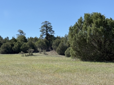 spacious home on 10.15 acres with meadows and a large garage - image 2