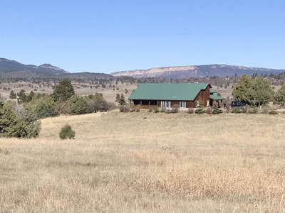 spacious home on 10.15 acres with meadows and a large garage - image 4