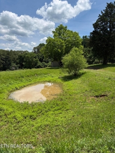 Farmhouse on 15 acres in McMinn County Tennessee - image 25