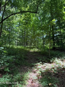 43.5 acres and 3046 sq ft home with pool in McMinn County TN - image 24
